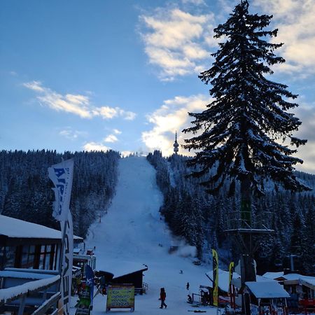 Студиа Студенец Smolyan Bagian luar foto
