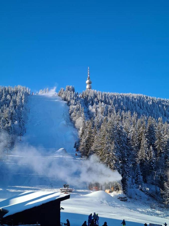 Студиа Студенец Smolyan Bagian luar foto