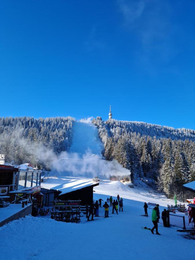 Студиа Студенец Smolyan Bagian luar foto